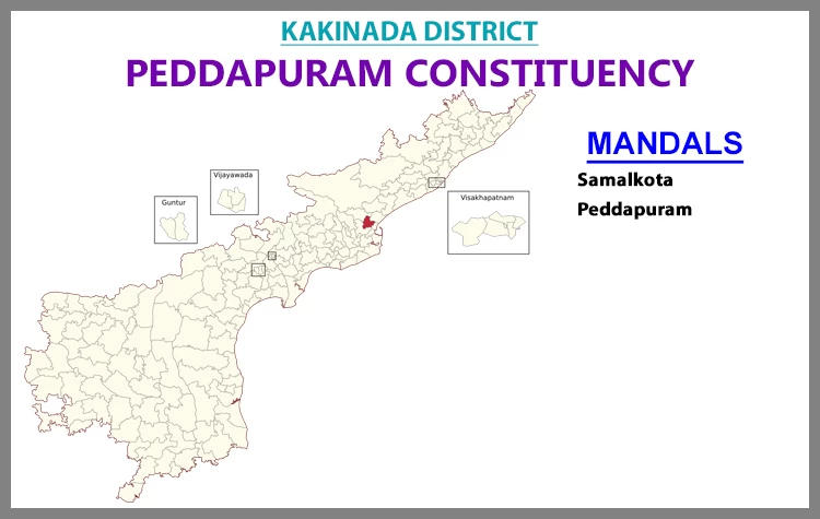 AP Elections Peddapuram 2024 Results Comparison To 2019 Candidates And Voters Details