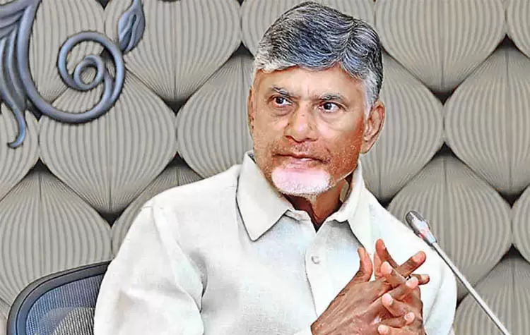 Chandrababu: Ongole Breed Valued At Rs. 41 Crores, CM Expresses Happiness