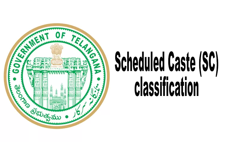 SC Classification: Government Extends Single-Member Commission's Term