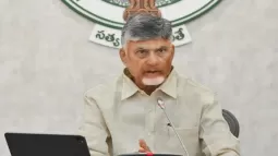 CM Chandrababu Naidu: Vision For Delhi's Development Under Modi's Leadership