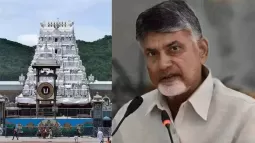 CM Chandrababu: Why Were Proper Arrangements Not Made For Devotees?