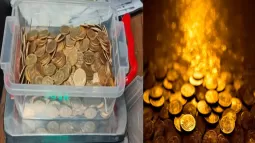 Gold Smuggling: 10 Kg Of Gold Worth Over Rs. 7.8 Crore Seized At Delhi Airport