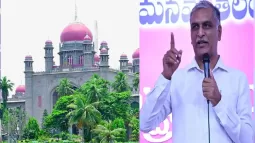 Harish Rao: Telangana High Court Orders No Arrest Till February 12